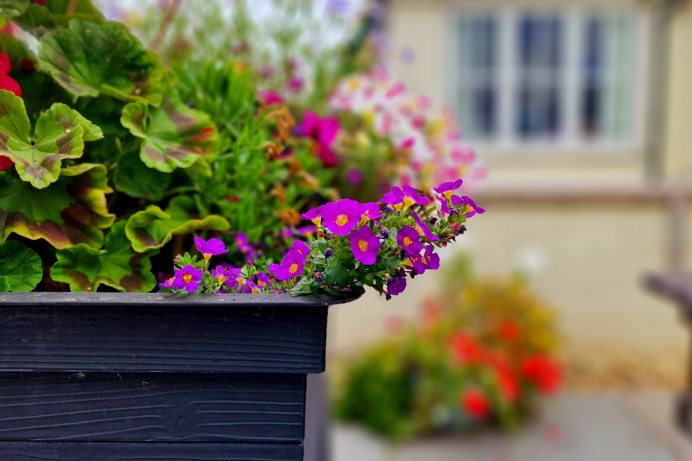 Featured Image for The Heathers