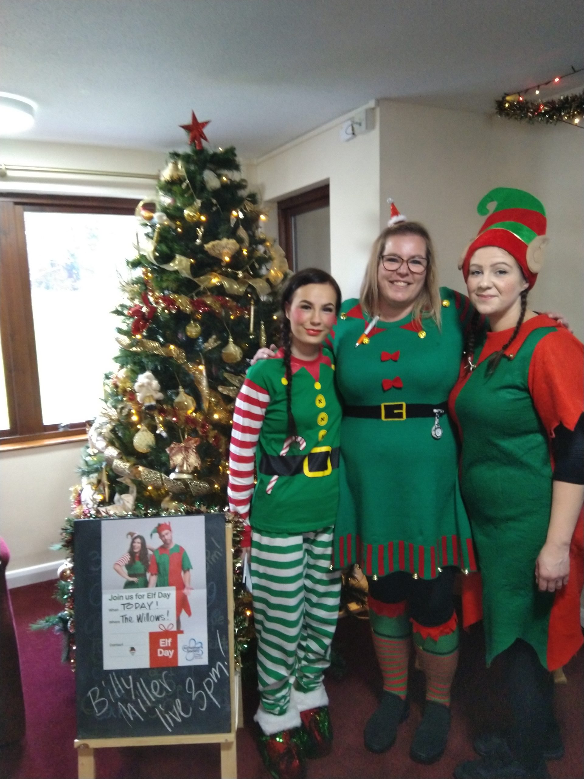 The Willows Blog Post 7